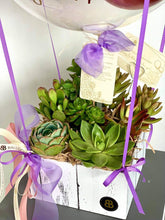 Load image into Gallery viewer, "Celine" | Mini Hot Air Balloon - Succulents