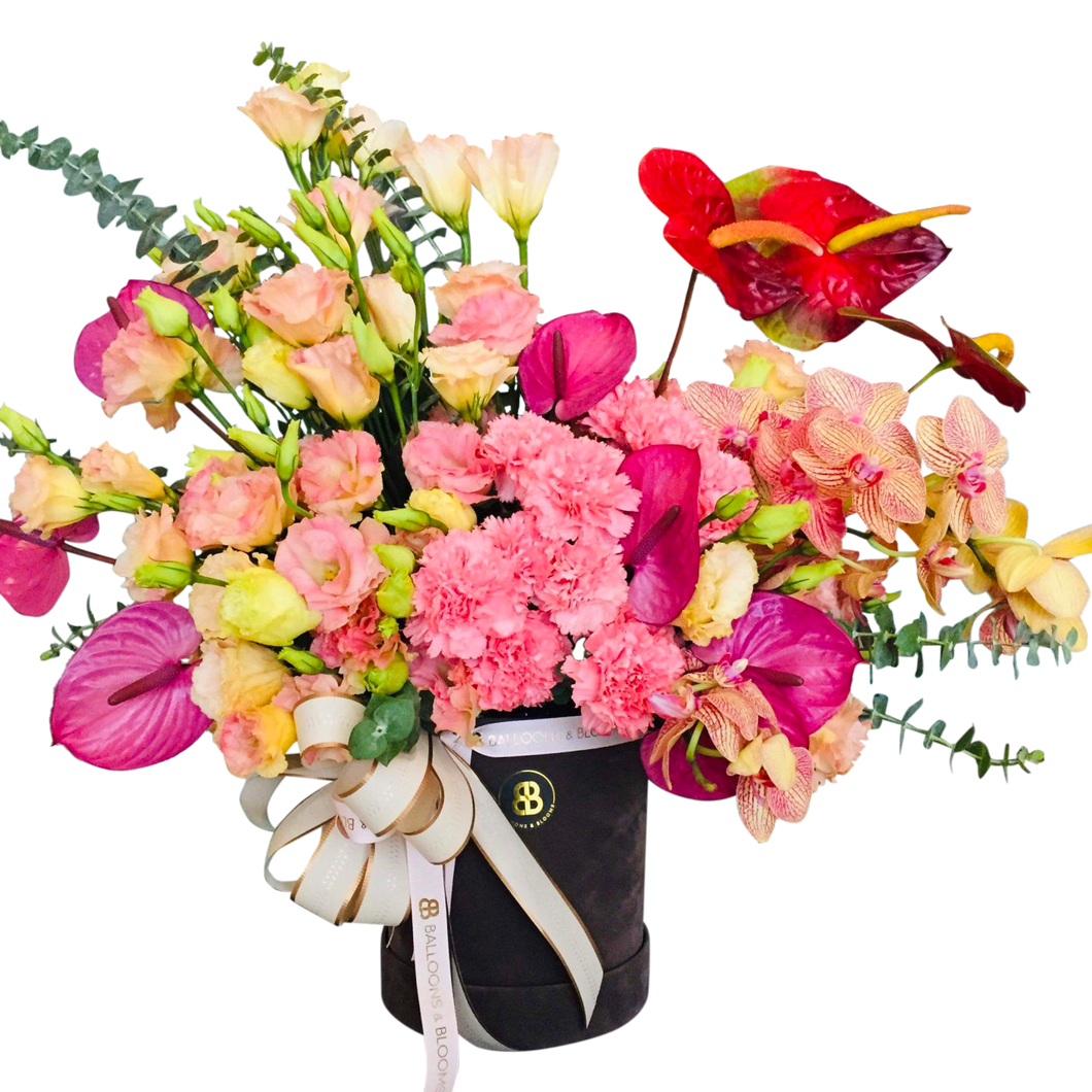 Pink Carousel Roses Pink Carousel – Balloons & Blooms