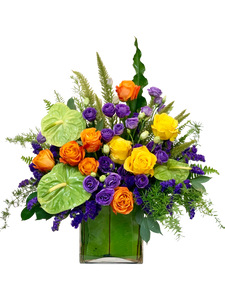 Vibrant Violet Vistas
