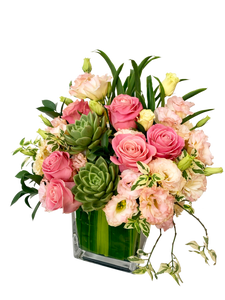 Pink Passion