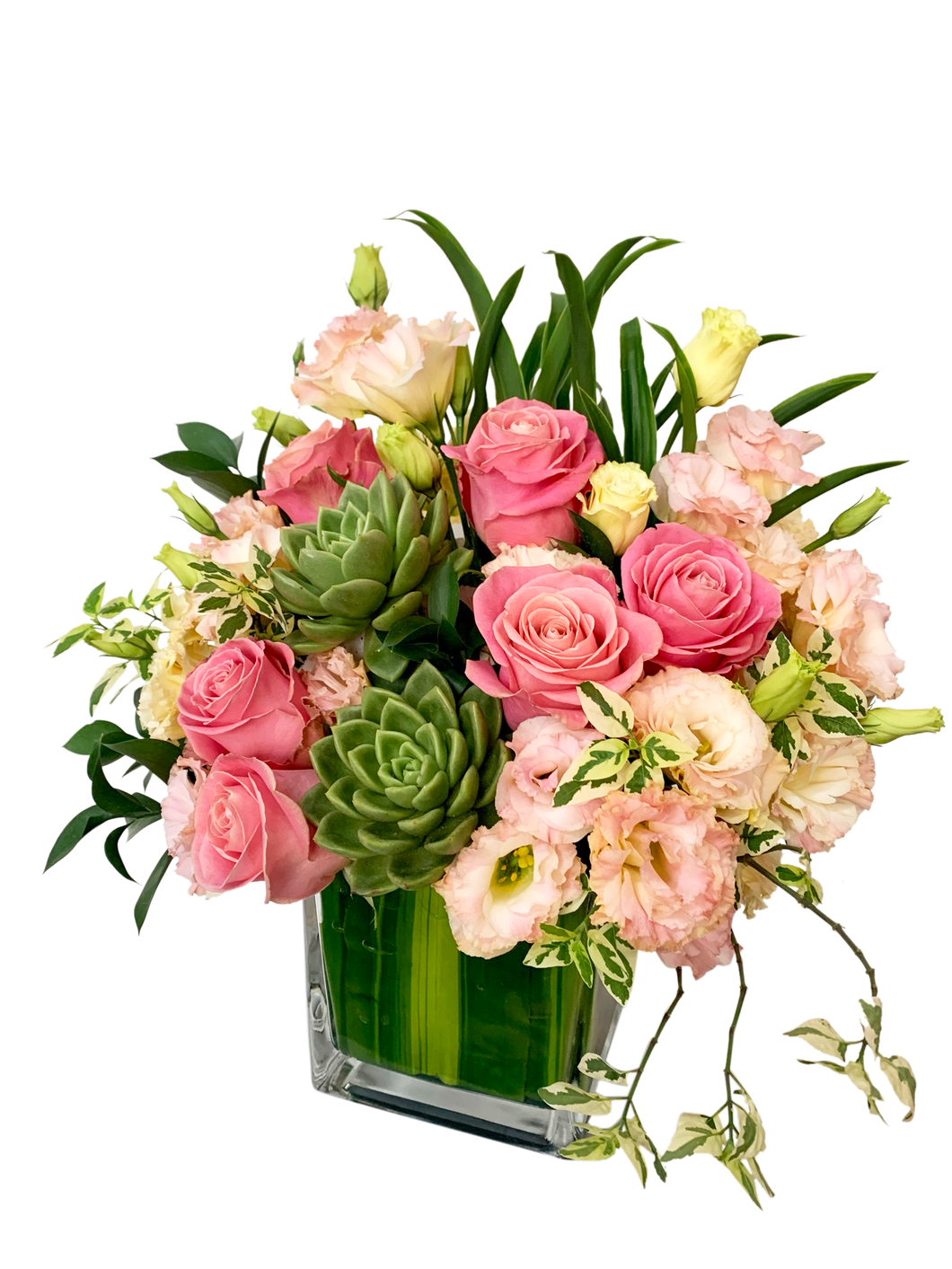 Pink Passion