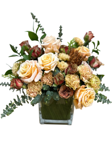 Coral Cascade