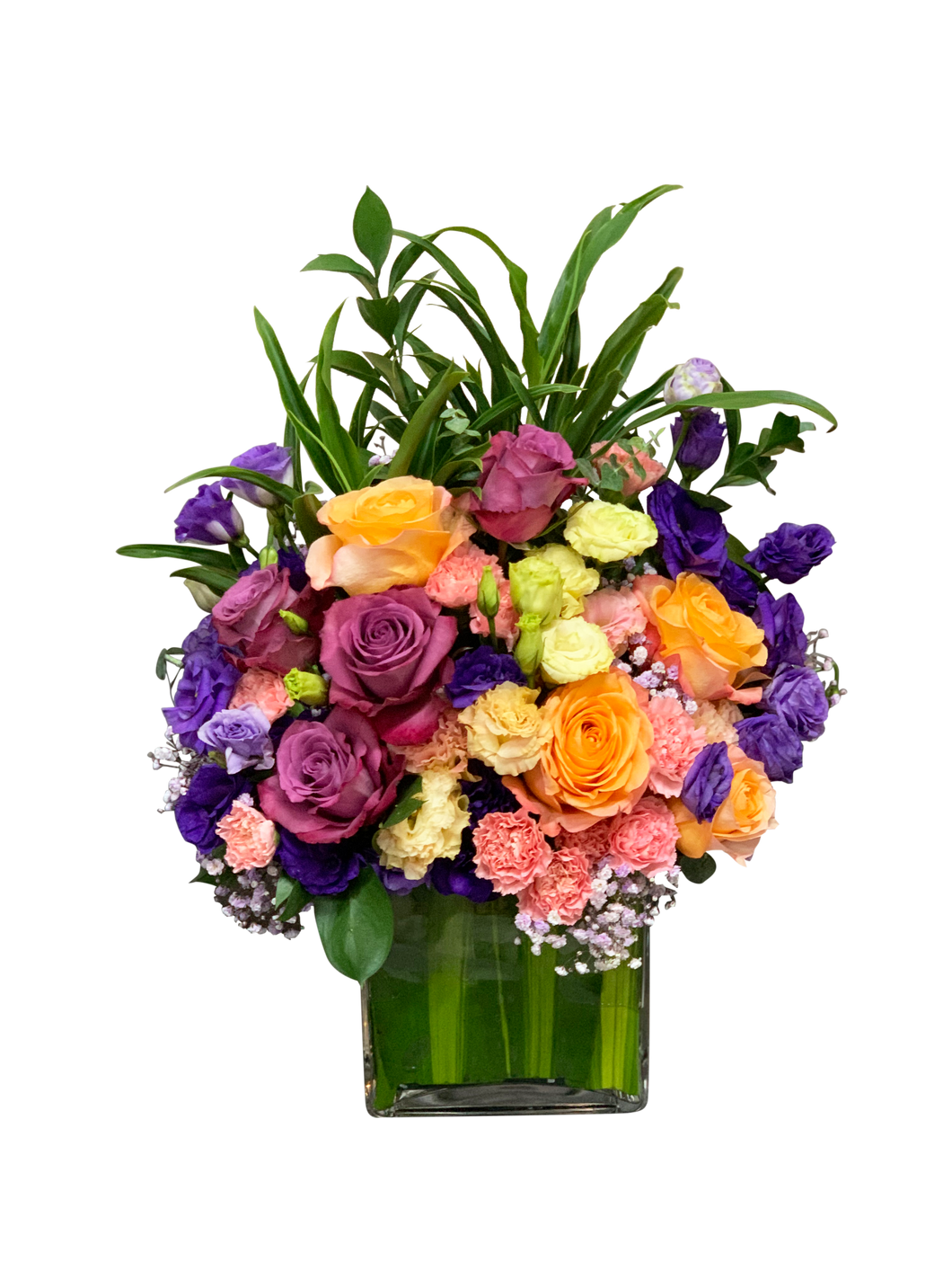 Purple Majesty