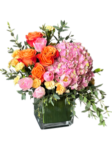 Coral Charm Blooms