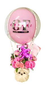 "Callie" | Mini Hot Air Balloon