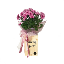Load image into Gallery viewer, Mums Potted Plants
