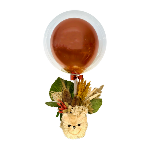 Antoinette Balloon Pop | Stylish Balloon Pop | Balloons & Blooms
