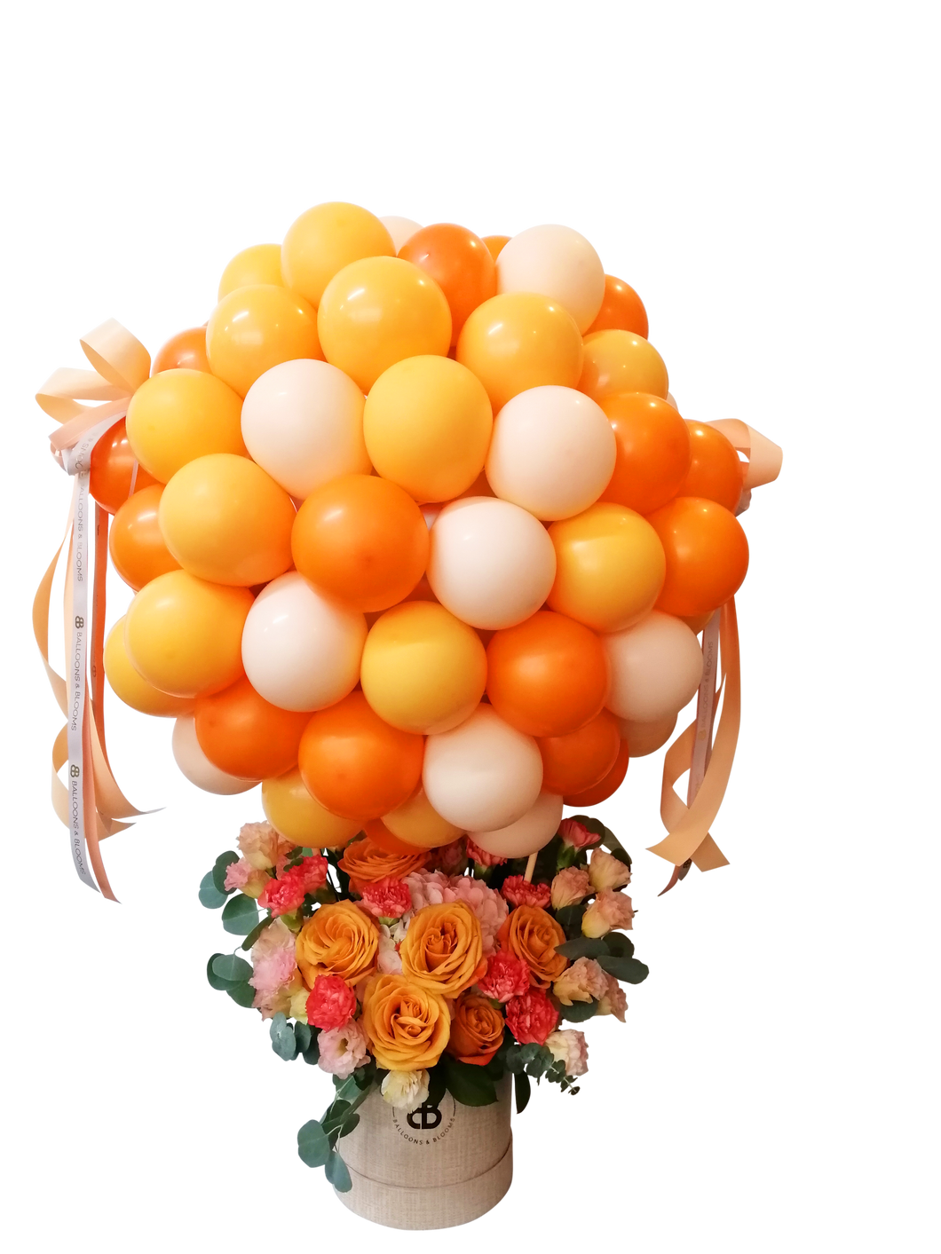 “Sunny Splendor” | Hot Air Balloon Cloud