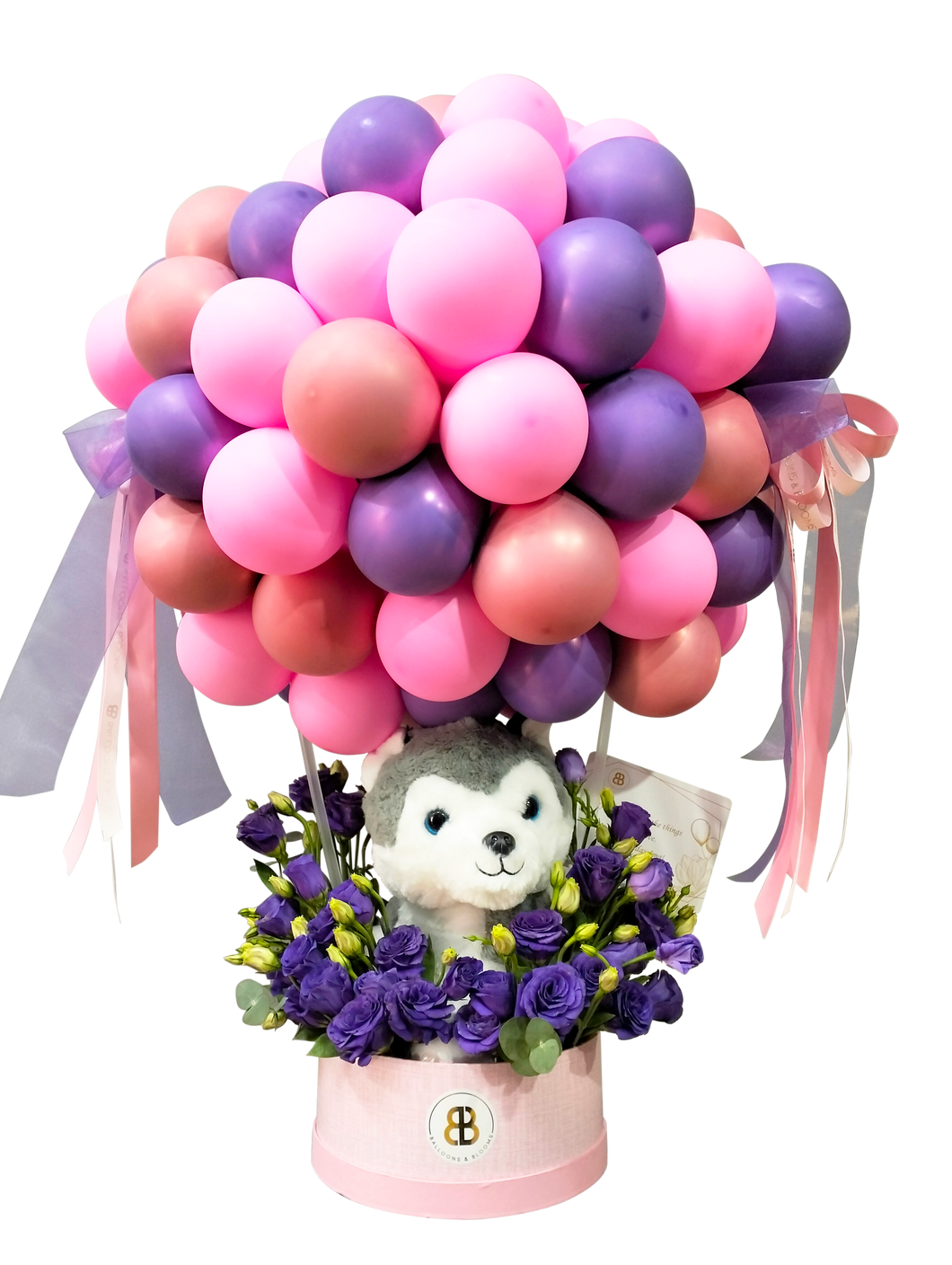 “Husky” | Hot Air Balloon Cloud