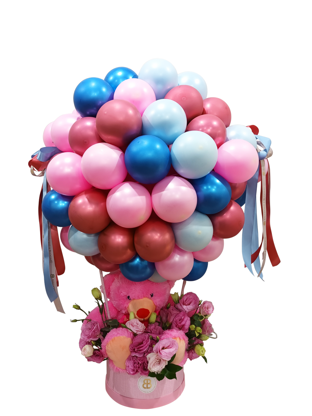 “Mystic Bear” | Hot Air Balloon Cloud