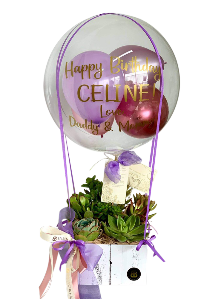 "Celine" | Mini Hot Air Balloon - Succulents