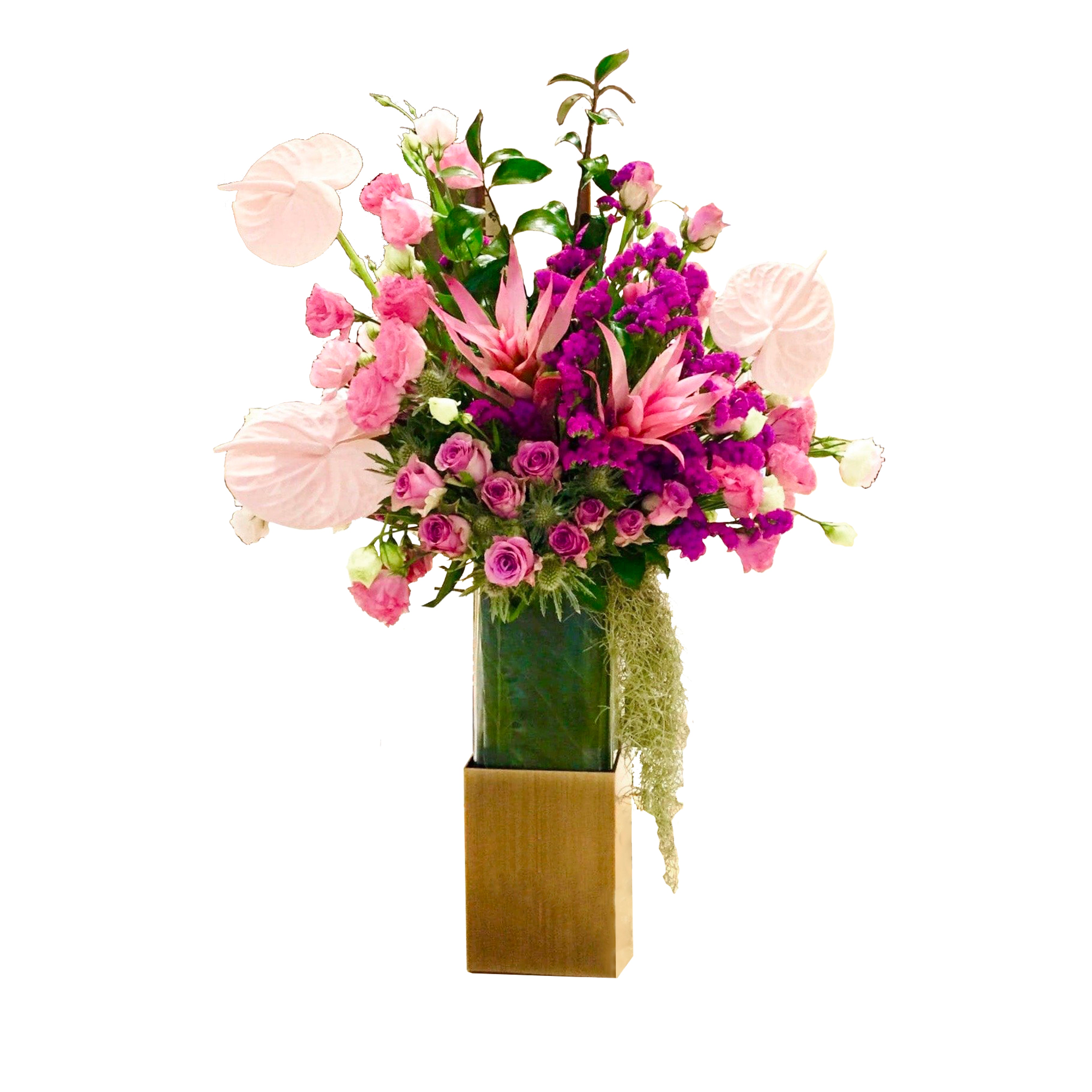 Pink Champagne Blooms