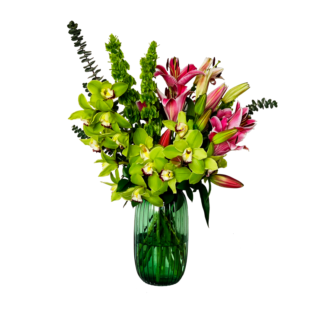 Orchid Opulence
