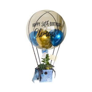 "Clement" | Hot Air Balloon Succulents - Tall
